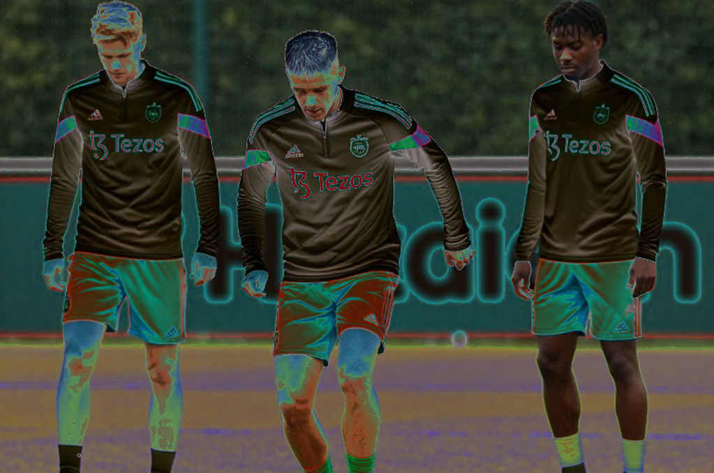 Le Giang Patrik and the Seven Days That Will Define Vietnam's Goal at FIFA ASEAN Cup 2026