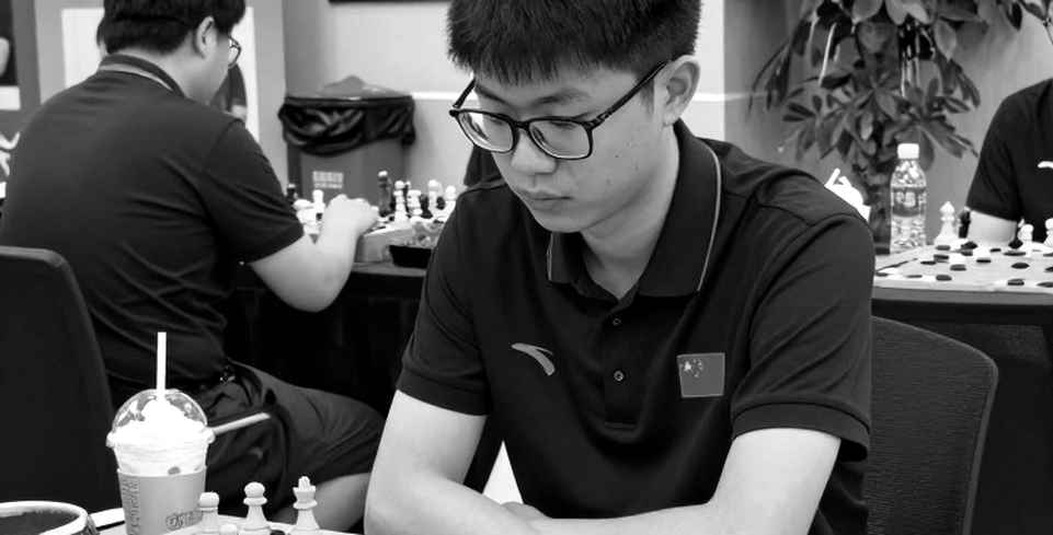 Fritz 20 and the Unanswered Question: Which Software Truly Teaches Chess to Vietnamese Players?