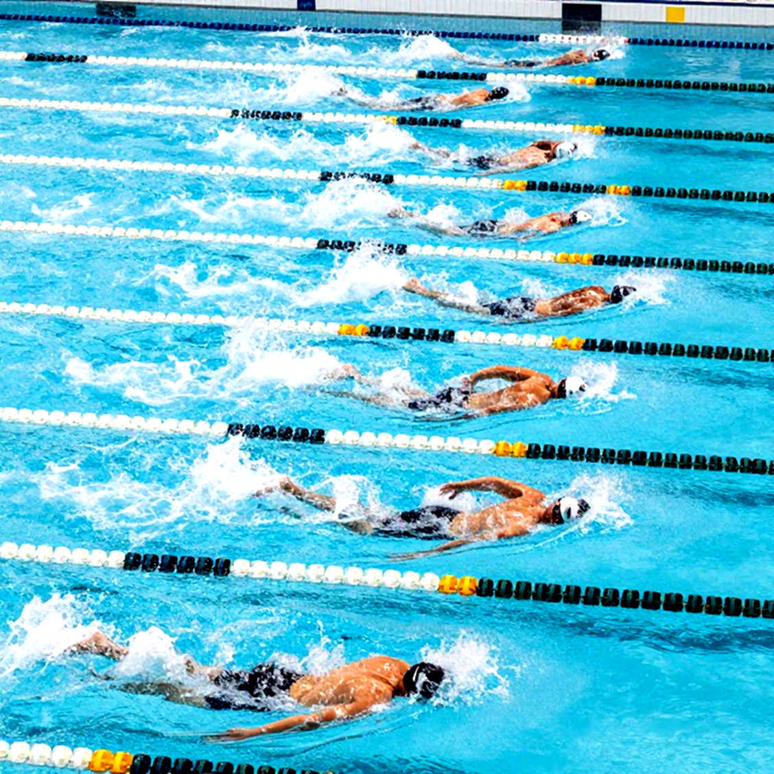 Chiến thuật bơi lội trong bơi 400 mét rào nam tại giải quốc gia Việt Nam 2026