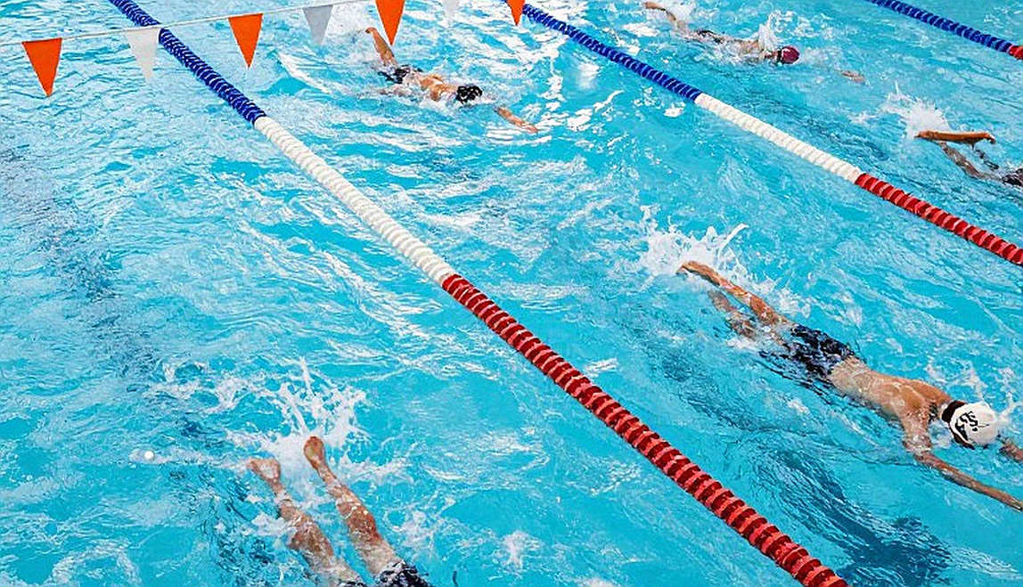 Regression of Vietnamese Swimming: Which Curve Is Being Misread?